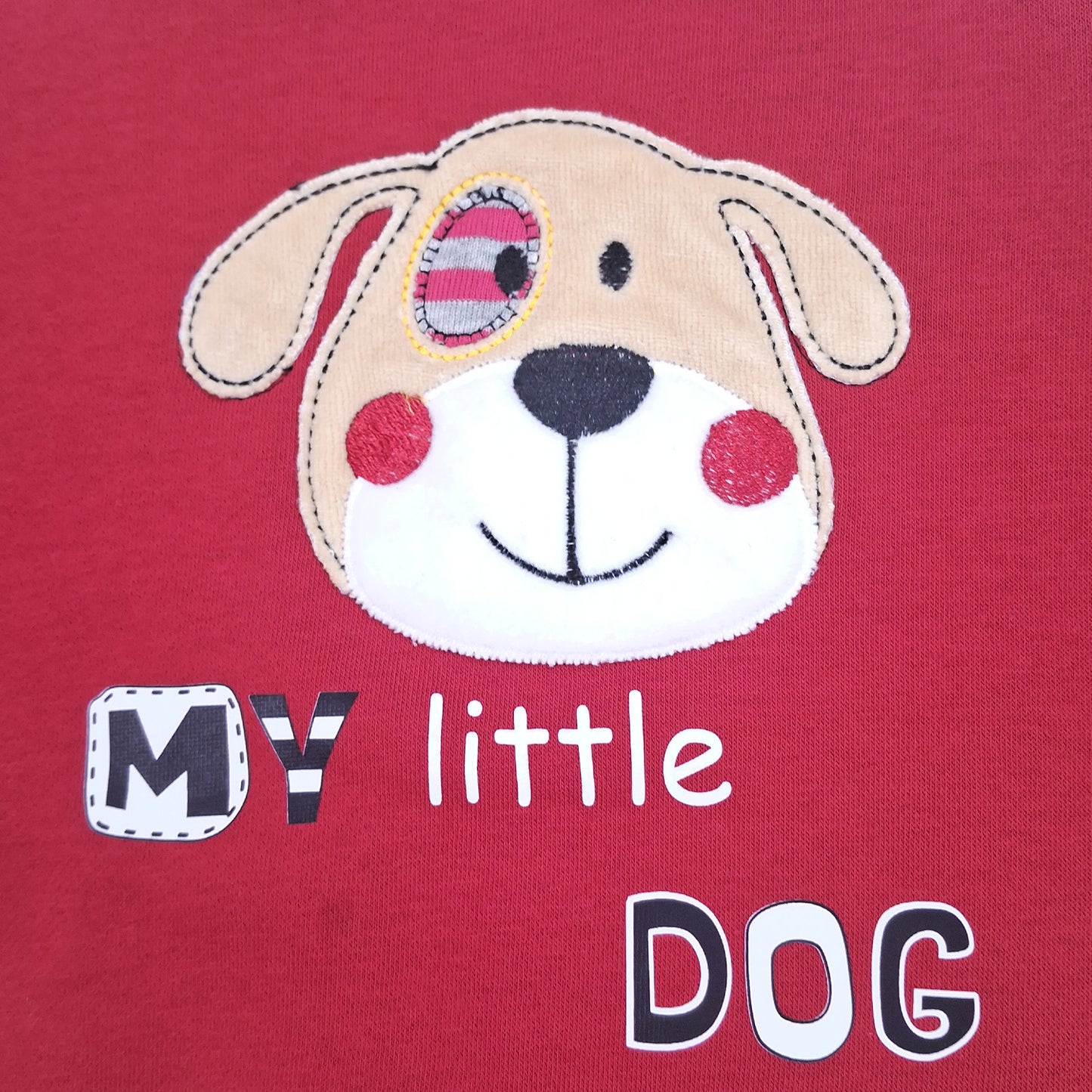 D541 - My little dog