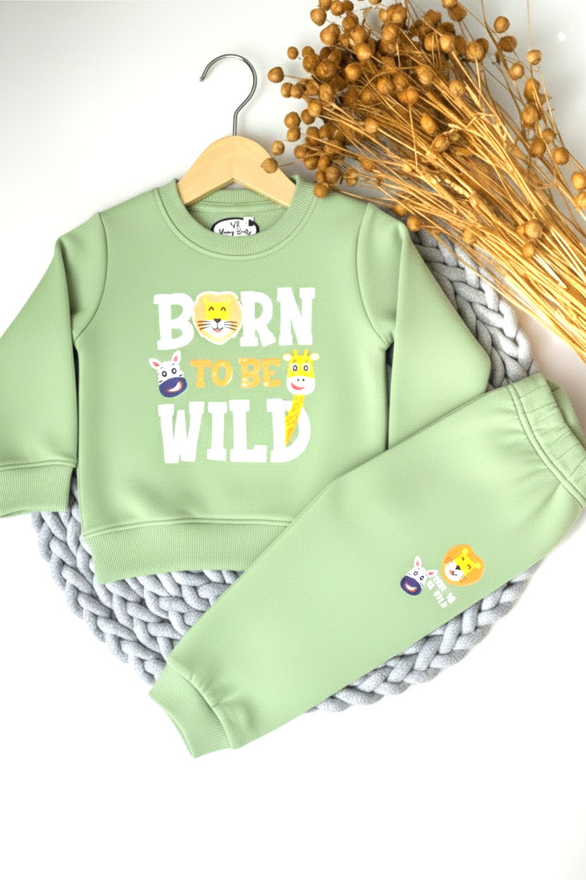 D527-Born to be wild